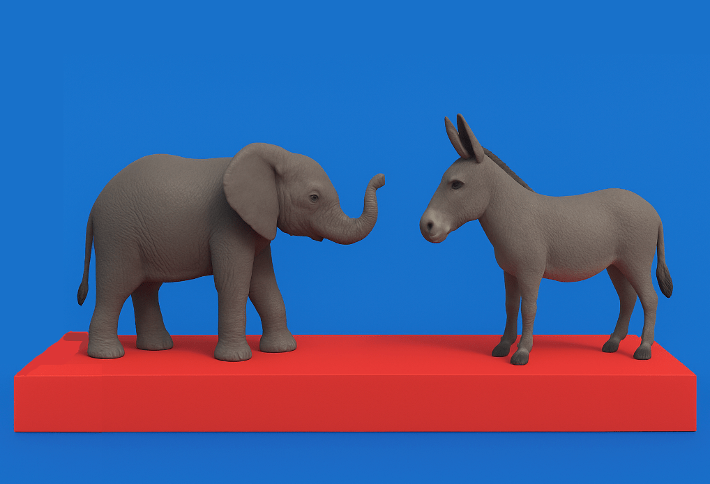 Sopayı Yiyen Eşek, Fili Geçer&nbsp;(Mi?)